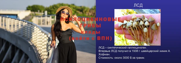 шишки Чекалин
