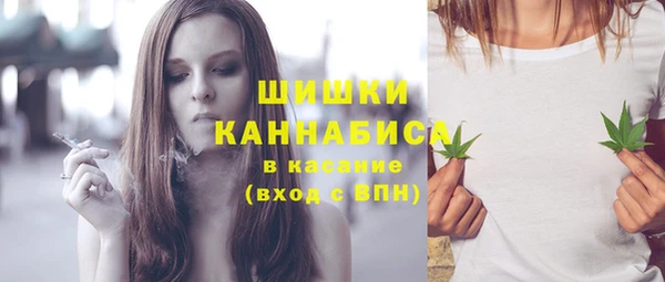 индика Лагань