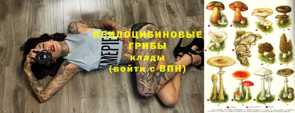 MESCALINE Лабытнанги